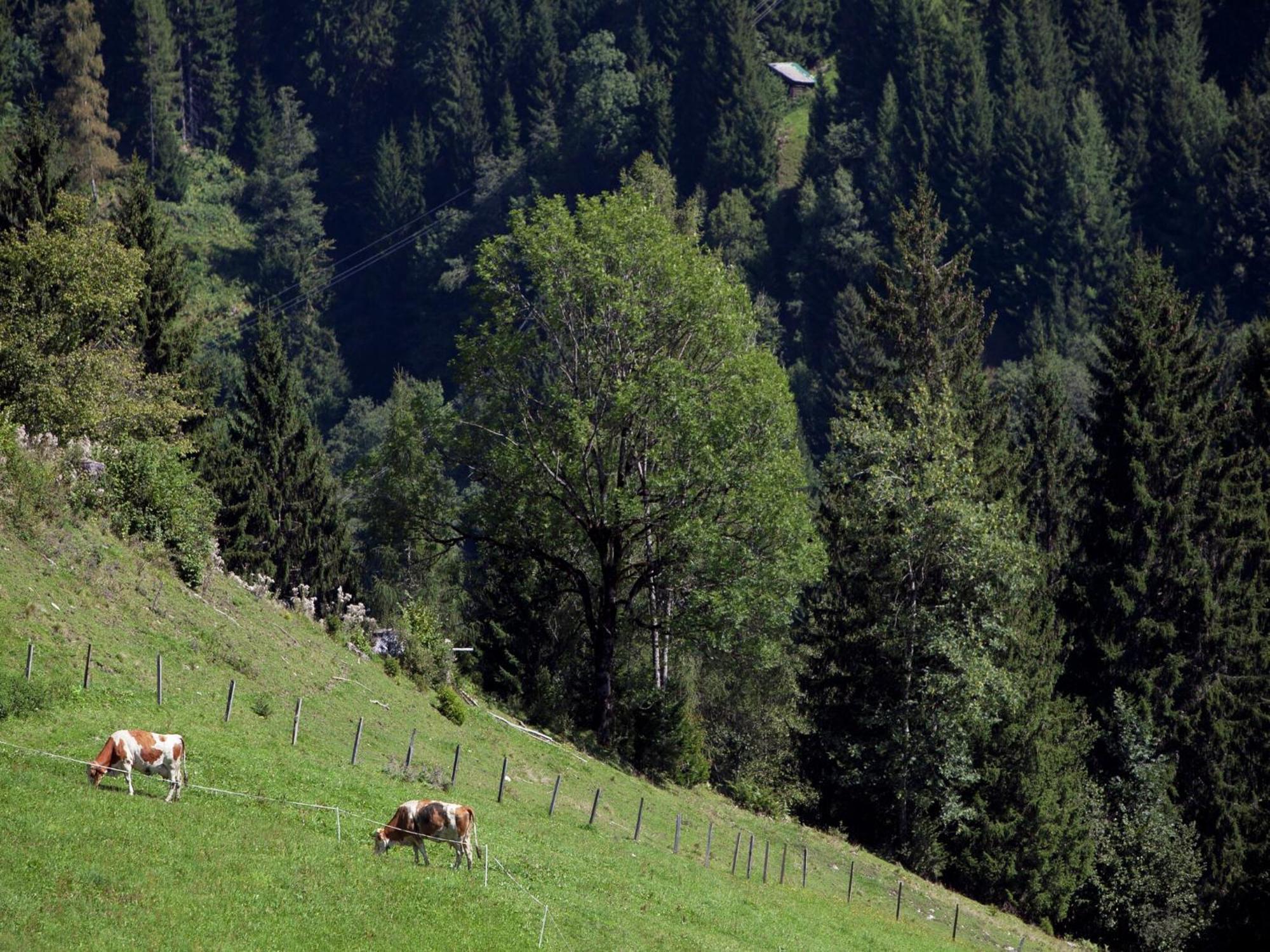 Apartment In Sankt Johann Im Pongau Near Ski Area Wagrain Kültér fotó